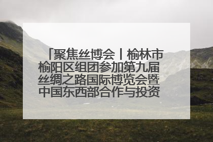 聚焦丝博会丨榆林市榆阳区组团参加第九届丝绸之路国际博览会暨中国东西部合作与投资贸易洽谈会