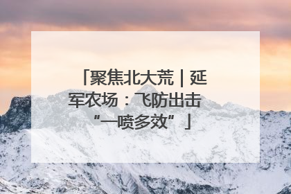 聚焦北大荒｜延军农场：飞防出击 “一喷多效”