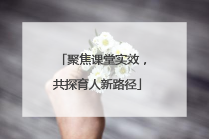聚焦课堂实效，共探育人新路径