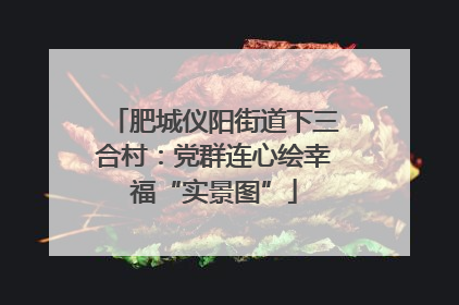 肥城仪阳街道下三合村：党群连心绘幸福“实景图”