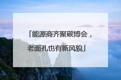 能源商齐聚碳博会，老面孔也有新风貌