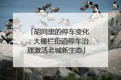 胡同里的停车变化：大栅栏街道停车治理激活老城新生态