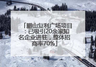 腊山复利广场项目：已吸引20余家知名企业进驻，整体招商率70%