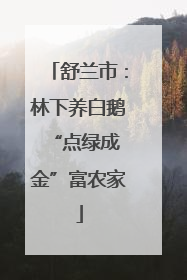 舒兰市：林下养白鹅 “点绿成金”富农家