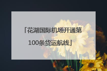 花湖国际机场开通第100条货运航线