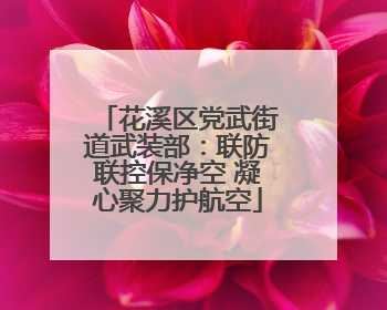 花溪区党武街道武装部：联防联控保净空 凝心聚力护航空
