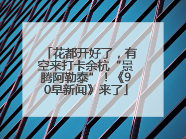 花都开好了，有空来打卡余杭“景腾阿勒泰”！《90早新闻》来了