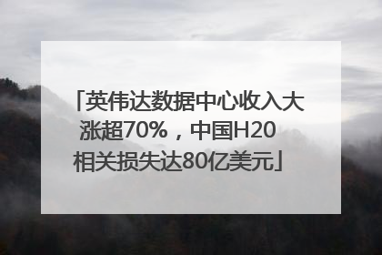 英伟达数据中心收入大涨超70%，中国H20相关损失达80亿美元