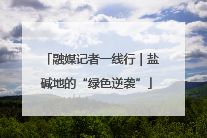 融媒记者一线行｜盐碱地的“绿色逆袭”