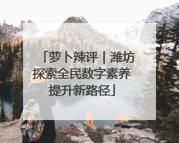 萝卜辣评｜潍坊探索全民数字素养提升新路径