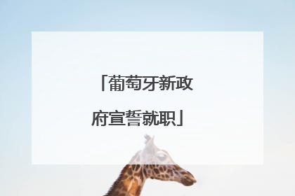 葡萄牙新政府宣誓就职
