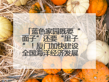 蓝色家园既要“面子”还要“里子”！厦门加快建设全国海洋经济发展示范区