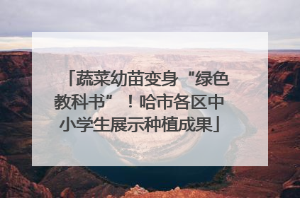 蔬菜幼苗变身“绿色教科书”！哈市各区中小学生展示种植成果
