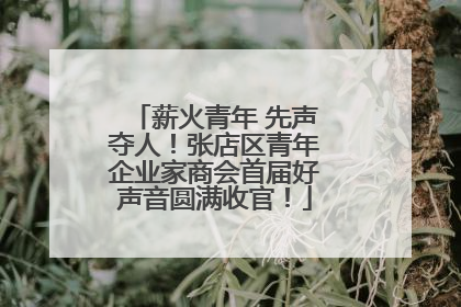 薪火青年 先声夺人！张店区青年企业家商会首届好声音圆满收官！