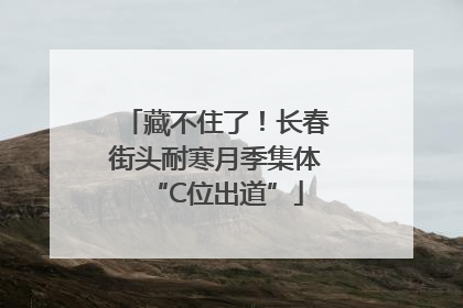 藏不住了！长春街头耐寒月季集体“C位出道”