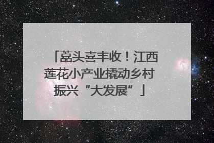 藠头喜丰收！江西莲花小产业撬动乡村振兴“大发展”