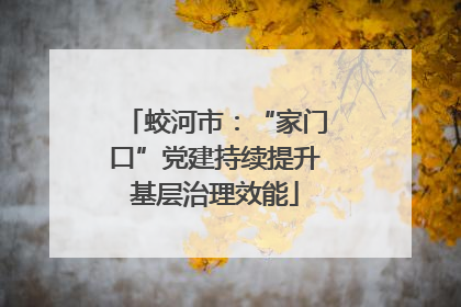 蛟河市：“家门口”党建持续提升基层治理效能