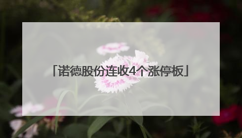 诺德股份连收4个涨停板
