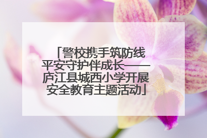 警校携手筑防线 平安守护伴成长——庐江县城西小学开展安全教育主题活动