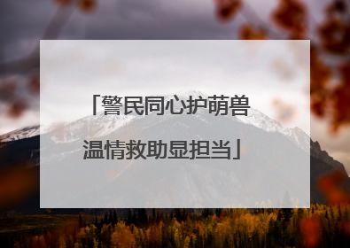 警民同心护萌兽 温情救助显担当