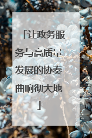 让政务服务与高质量发展的协奏曲响彻大地