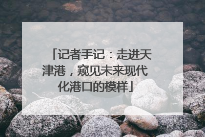 记者手记：走进天津港，窥见未来现代化港口的模样