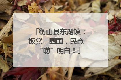 衡山县东湖镇：板凳一圈围，民意“唠”明白！