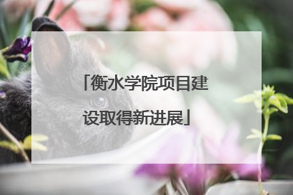 衡水学院项目建设取得新进展