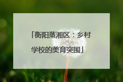 衡阳蒸湘区：乡村学校的美育突围