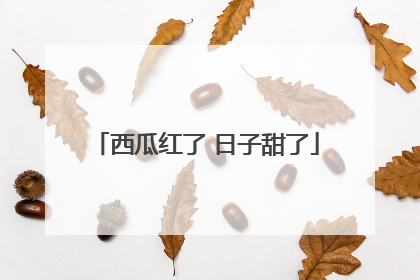西瓜红了 日子甜了