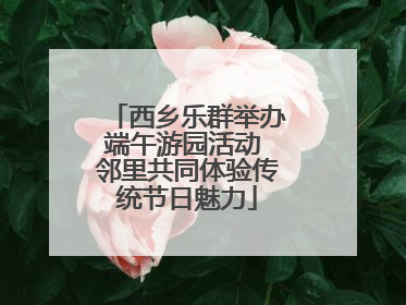 西乡乐群举办端午游园活动 邻里共同体验传统节日魅力