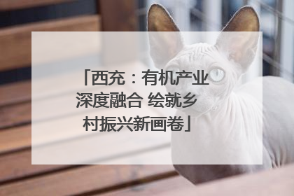 西充：有机产业深度融合 绘就乡村振兴新画卷