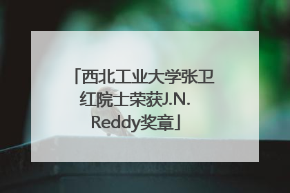 西北工业大学张卫红院士荣获J.N.Reddy奖章