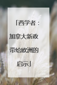 西学者：加拿大新政带给欧洲的启示