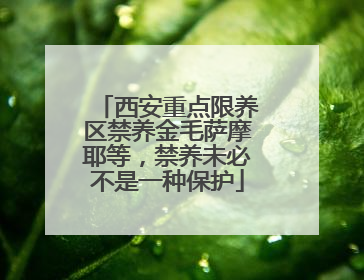 西安重点限养区禁养金毛萨摩耶等，禁养未必不是一种保护