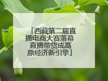 西藏第二届直播电商大赛落幕 直播带货成高原经济新引擎