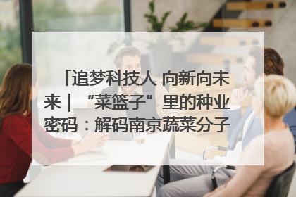 追梦科技人 向新向未来｜“菜篮子”里的种业密码：解码南京蔬菜分子育种的创新之路