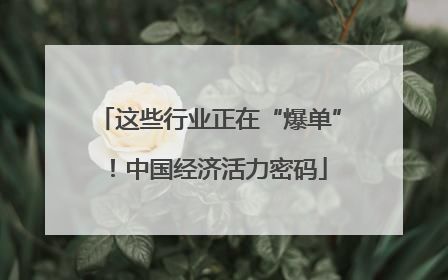 这些行业正在“爆单”！中国经济活力密码