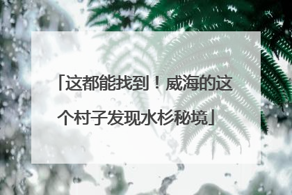 这都能找到！威海的这个村子发现水杉秘境
