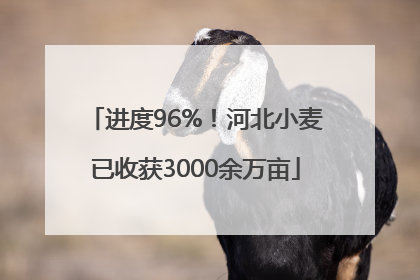 进度96%！河北小麦已收获3000余万亩