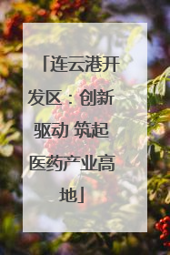 连云港开发区：创新驱动 筑起医药产业高地