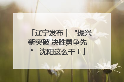辽宁发布｜“振兴新突破 决胜勇争先” 沈阳这么干！