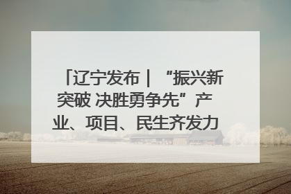 辽宁发布｜“振兴新突破 决胜勇争先”产业、项目、民生齐发力 葫芦岛按下决胜之年“加速键”