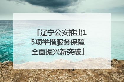 辽宁公安推出15项举措服务保障全面振兴新突破