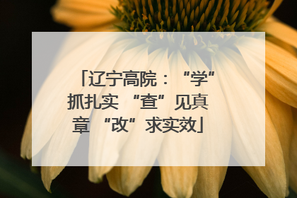 辽宁高院：“学”抓扎实 “查”见真章 “改”求实效