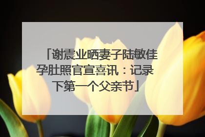 谢震业晒妻子陆敏佳孕肚照官宣喜讯：记录下第一个父亲节