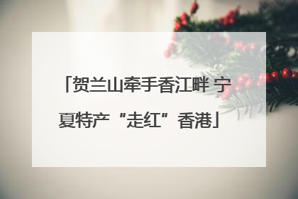 贺兰山牵手香江畔 宁夏特产“走红”香港