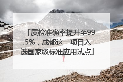 质检准确率提升至99.5%，成都这一项目入选国家级标准应用试点