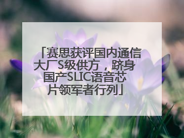 赛思获评国内通信大厂S级供方，跻身国产SLIC语音芯片领军者行列