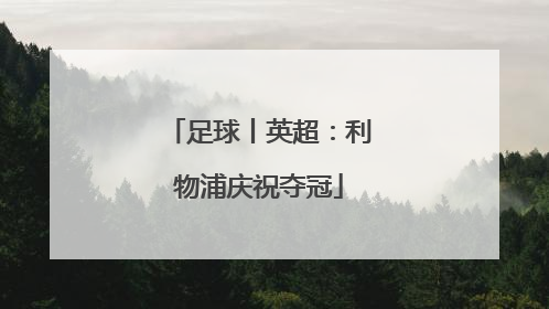 足球丨英超：利物浦庆祝夺冠